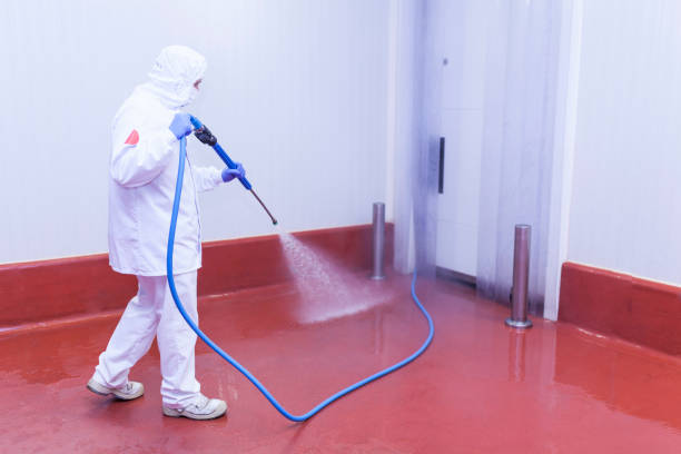 Trusted Cuero, TX Pressure Washing Services Experts